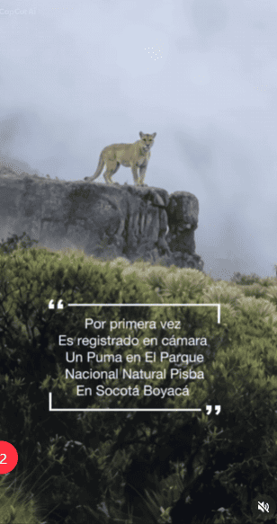 Publicación