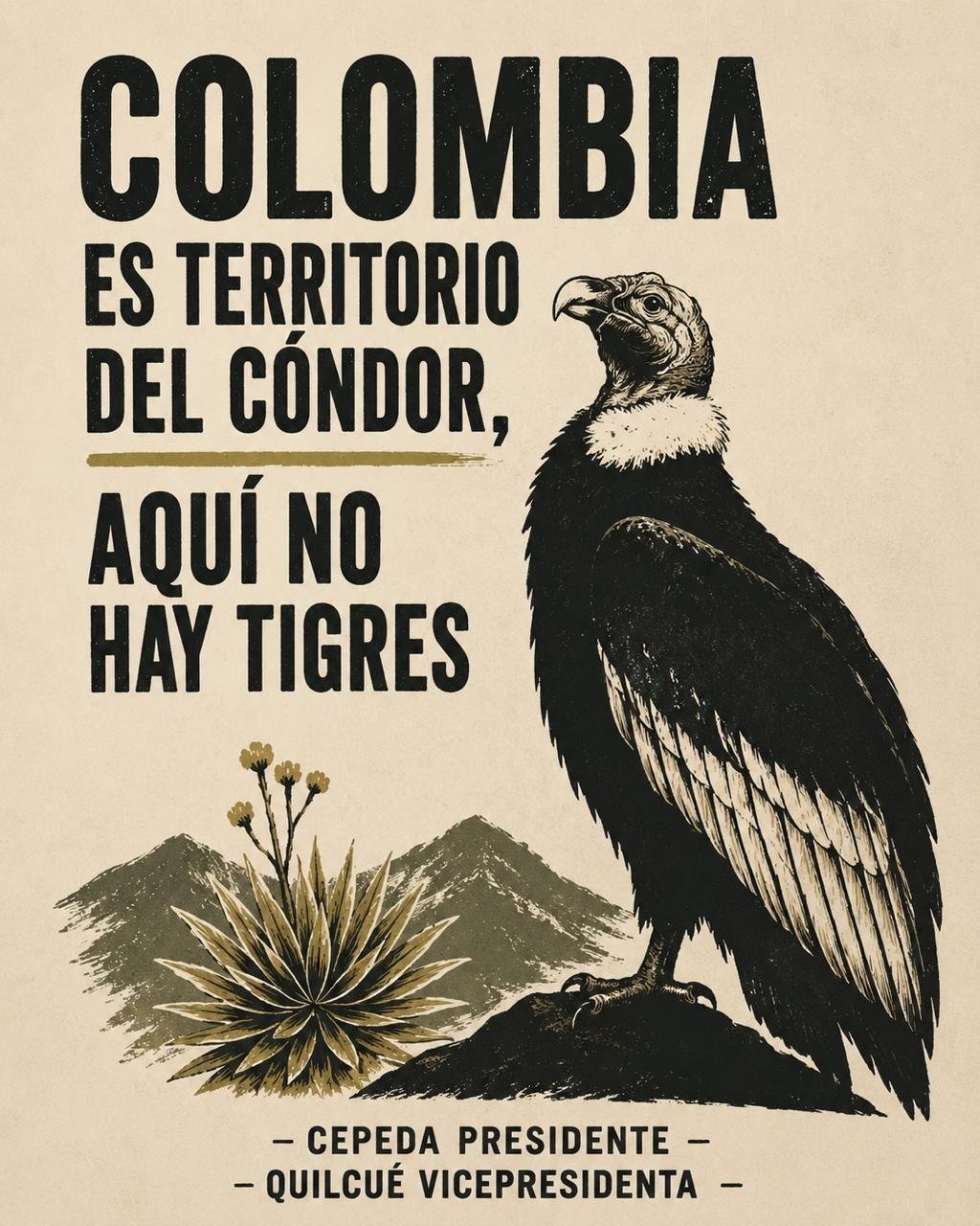 Colombia es territorio de Cóndores