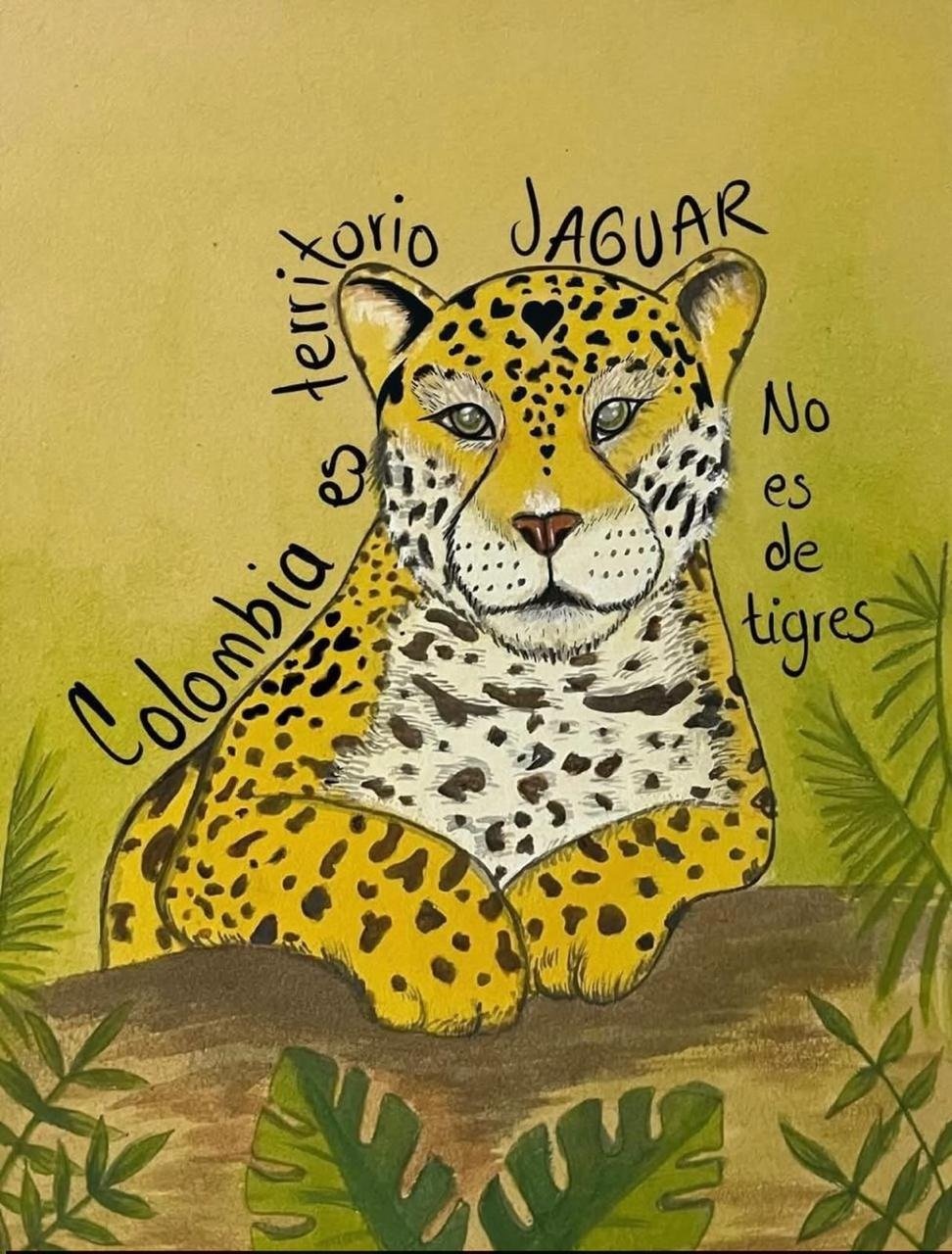 Colombia es territorio jaguar no es de tigres