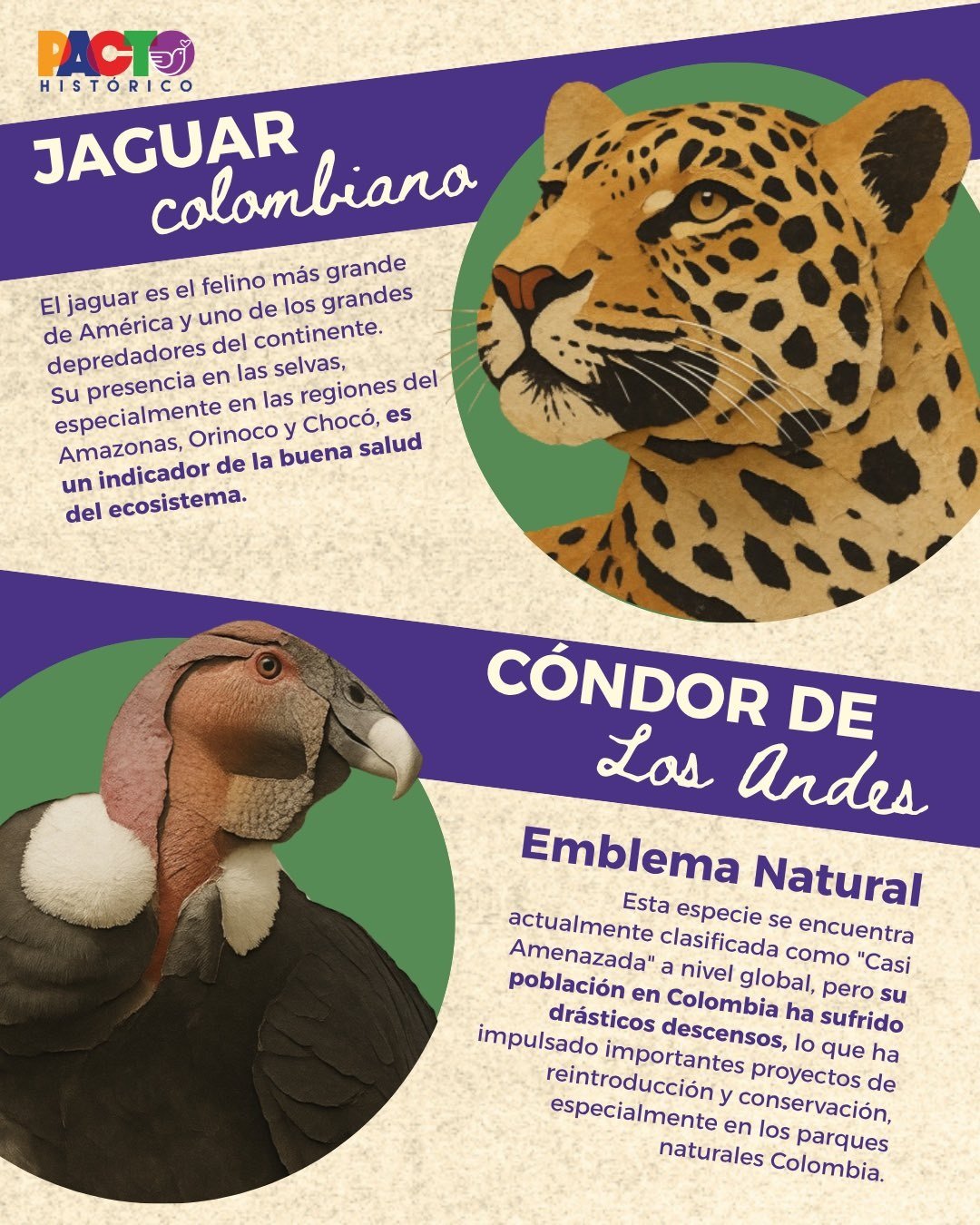 La biodiversidad merece un fandom 2/6
