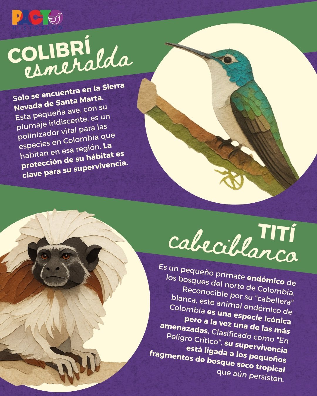 La biodiversidad merece un fandom 3/6
