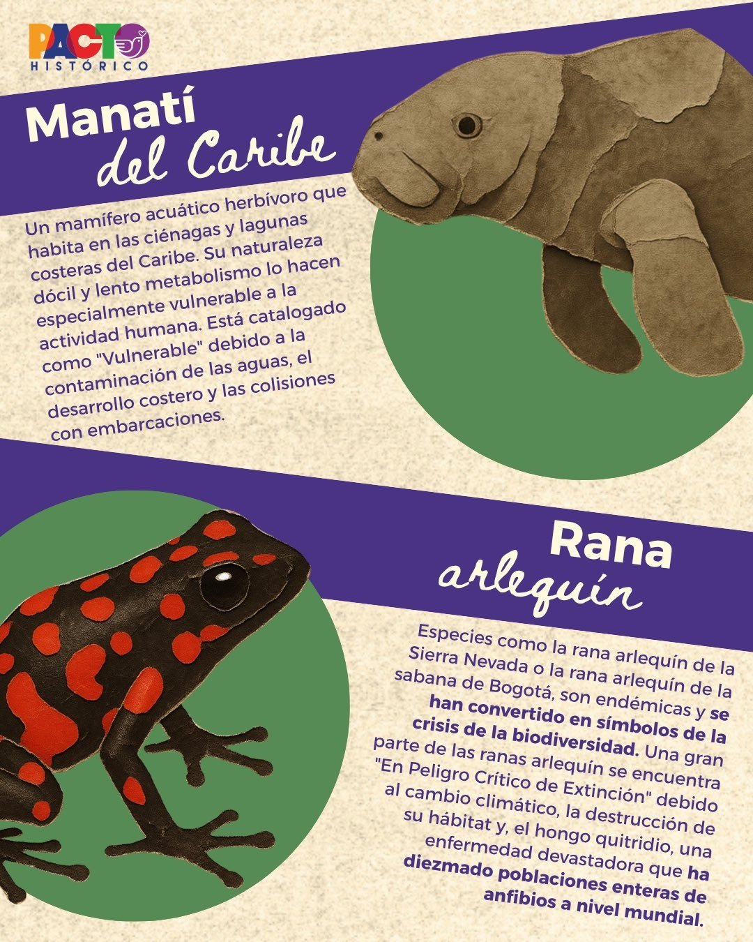 La biodiversidad merece un fandom 5/6
