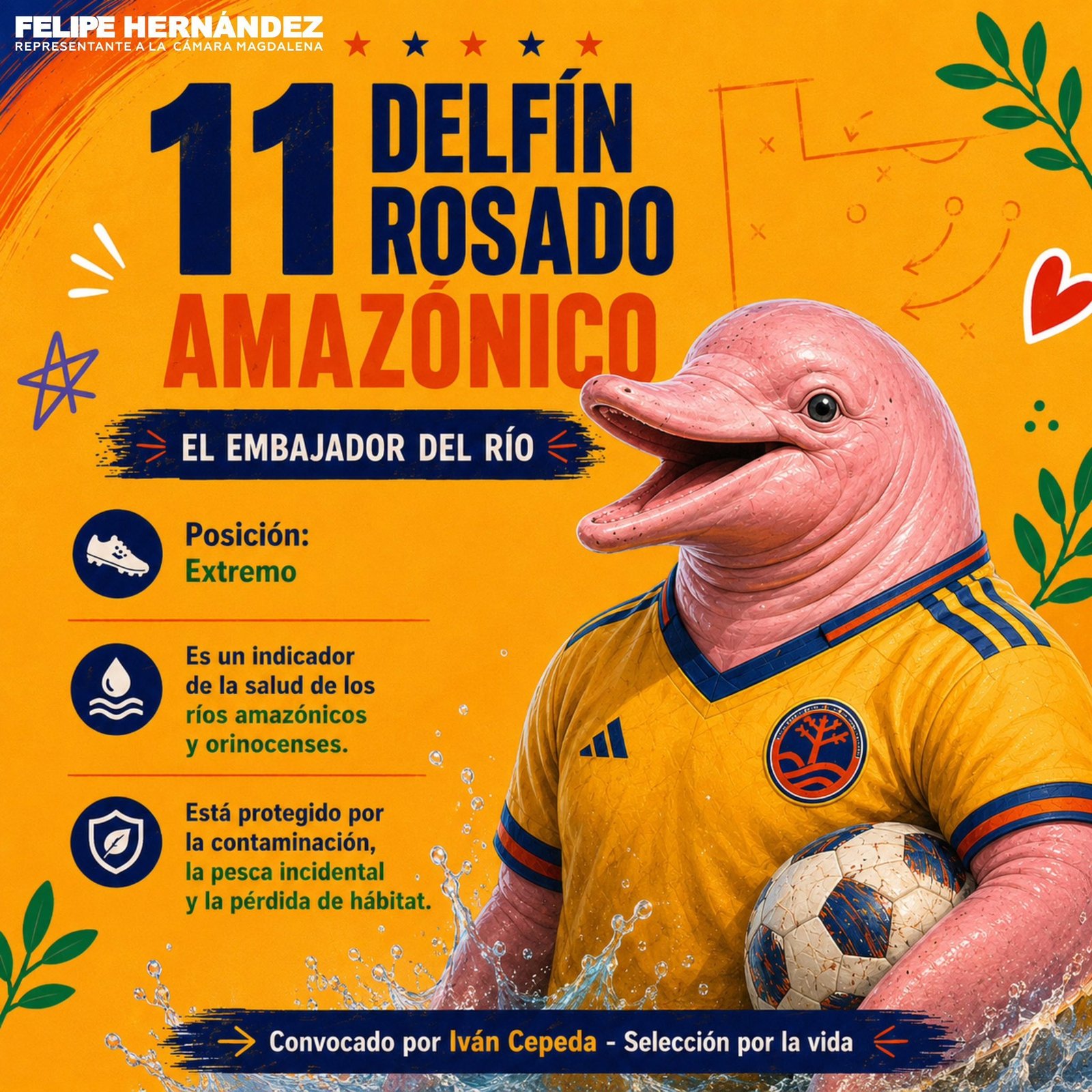 Selección por la Vida 4/6