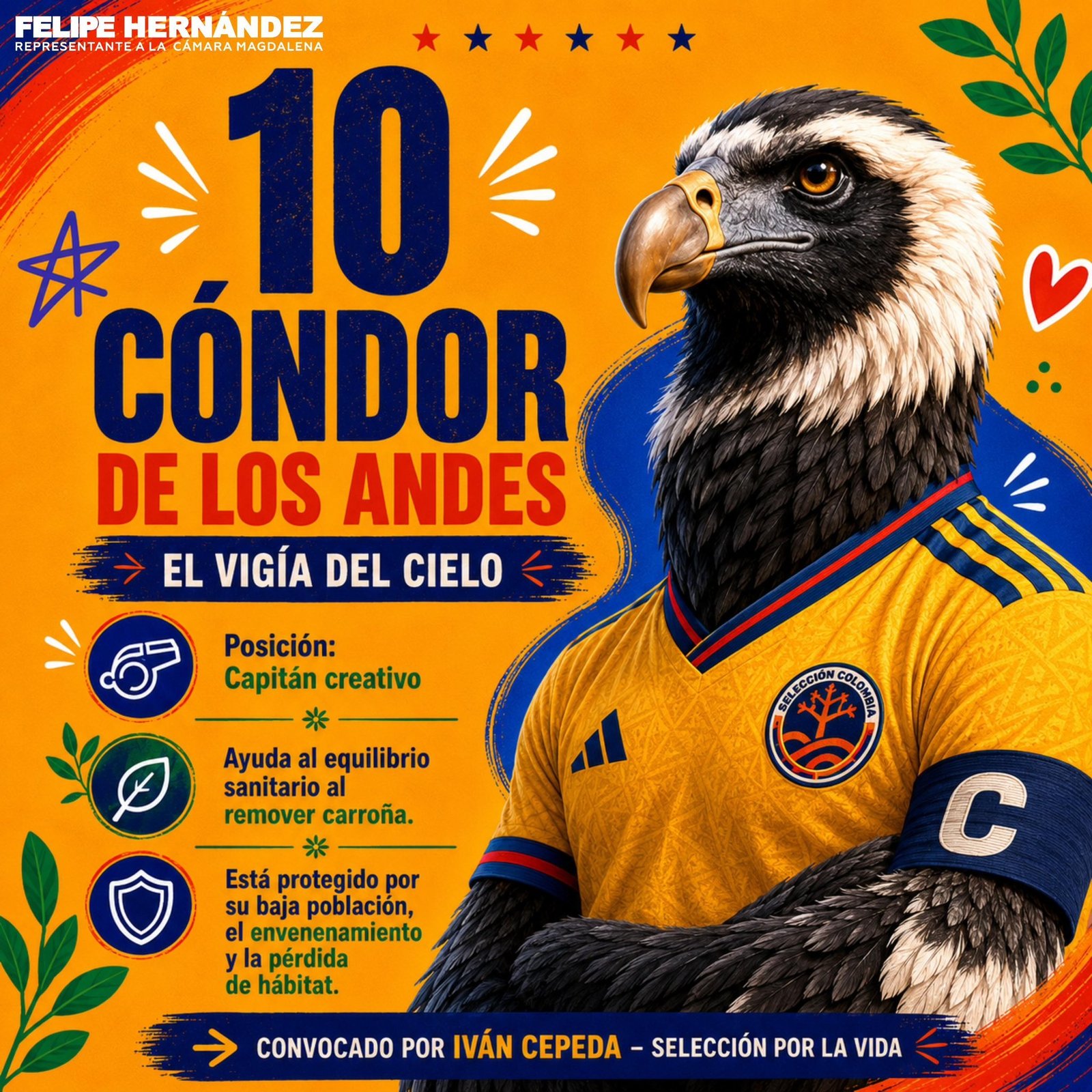 Selección por la Vida 5/6
